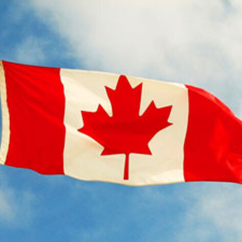 Canada's Largest Dairy Producer Issues Animal Welfare Policy