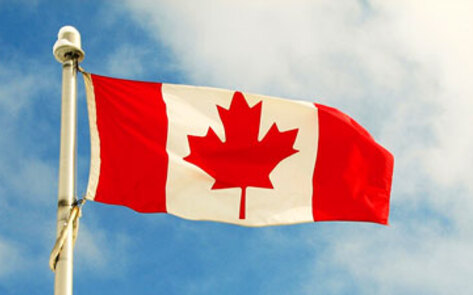 Canada's Largest Dairy Producer Issues Animal Welfare Policy