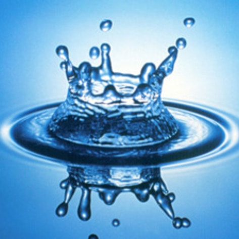 Food Shortages Could Result in More Vegetarians