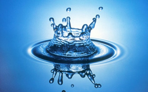 Water Campaign Encourages Eating Less Meat