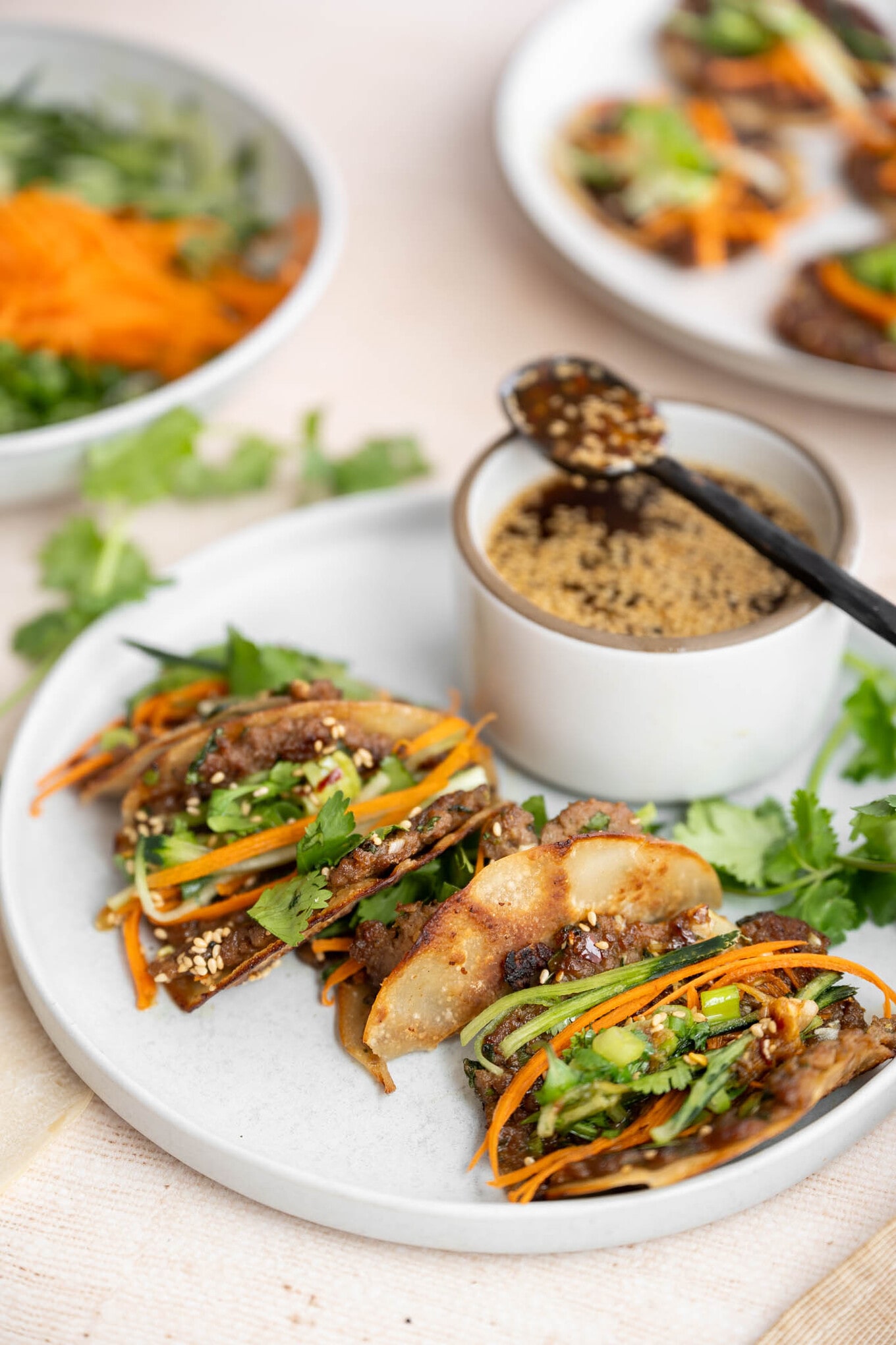 VegNews-NowFoods-SesameDumplingTacos-18