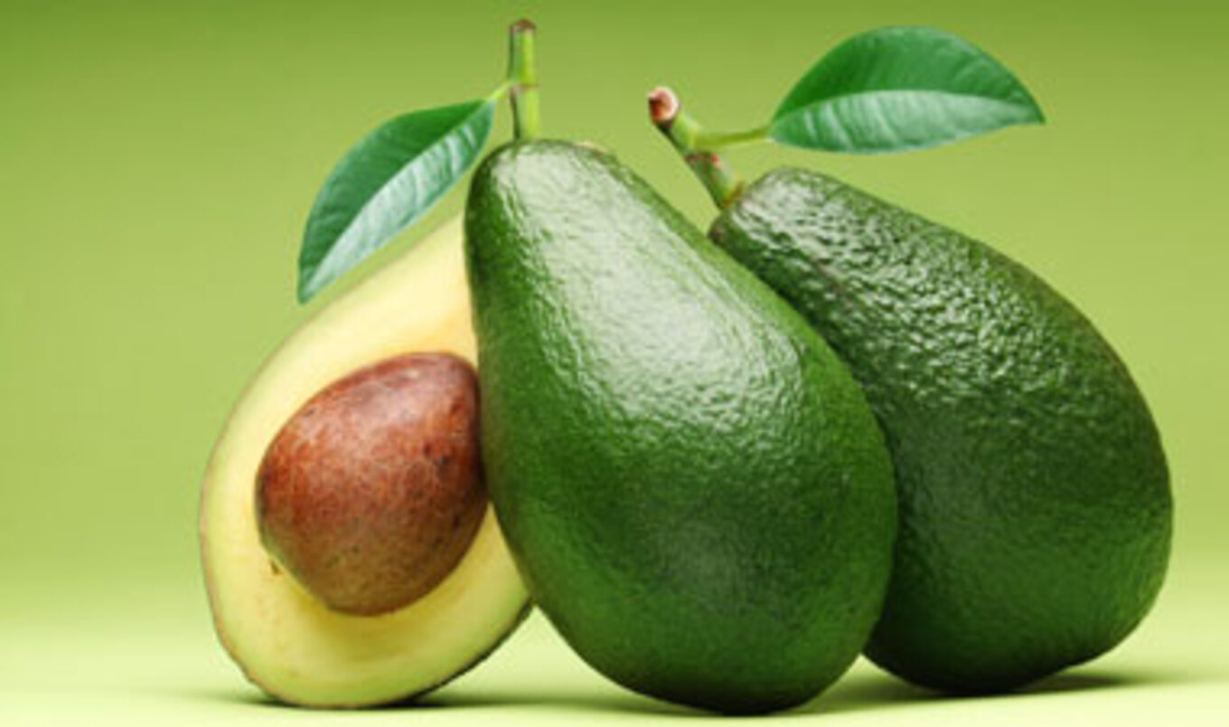 Avocados Contribute to Treatment for Leukemia