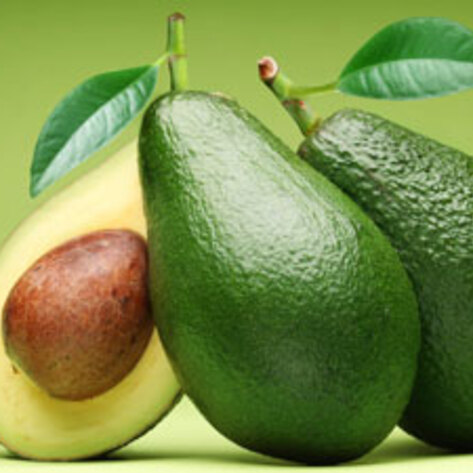 Avocados Contribute to Treatment for Leukemia