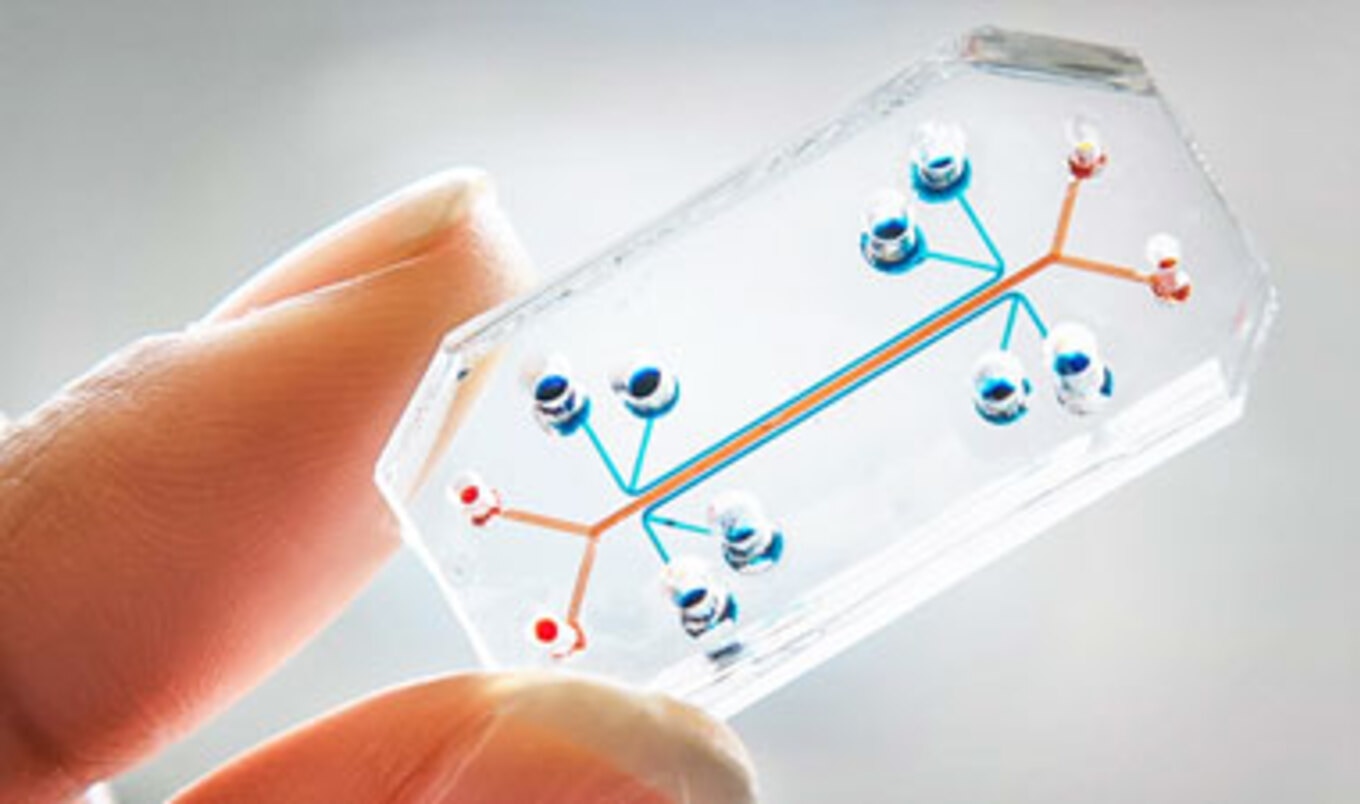 Animal testing alternatives cost Animal testing alternatives cost picture