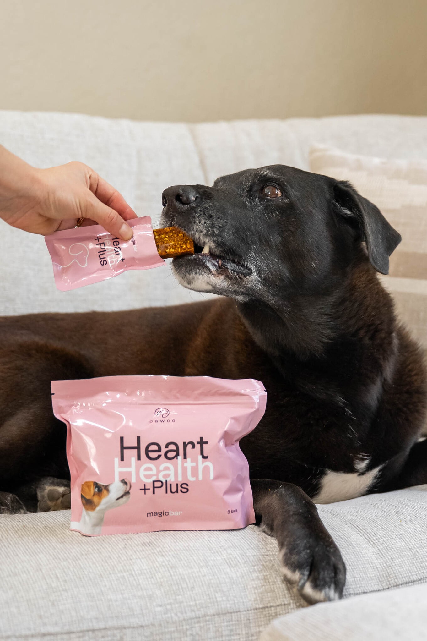 VegNews-PawCo-MagicBars-33