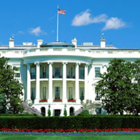 US Government Aims to Limit Overuse of Antibiotics in Animals