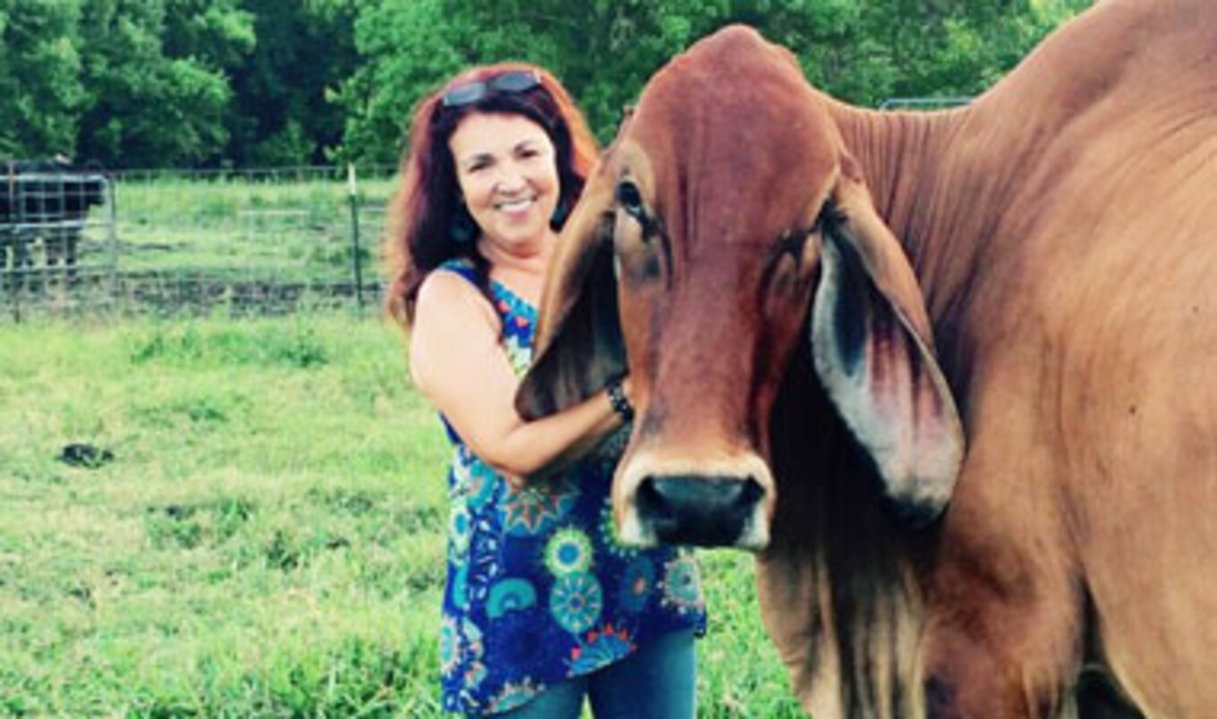 How One Rancher's Wife Used Crowdfunding to Finance the Animal Sanctuary of Her Dreams