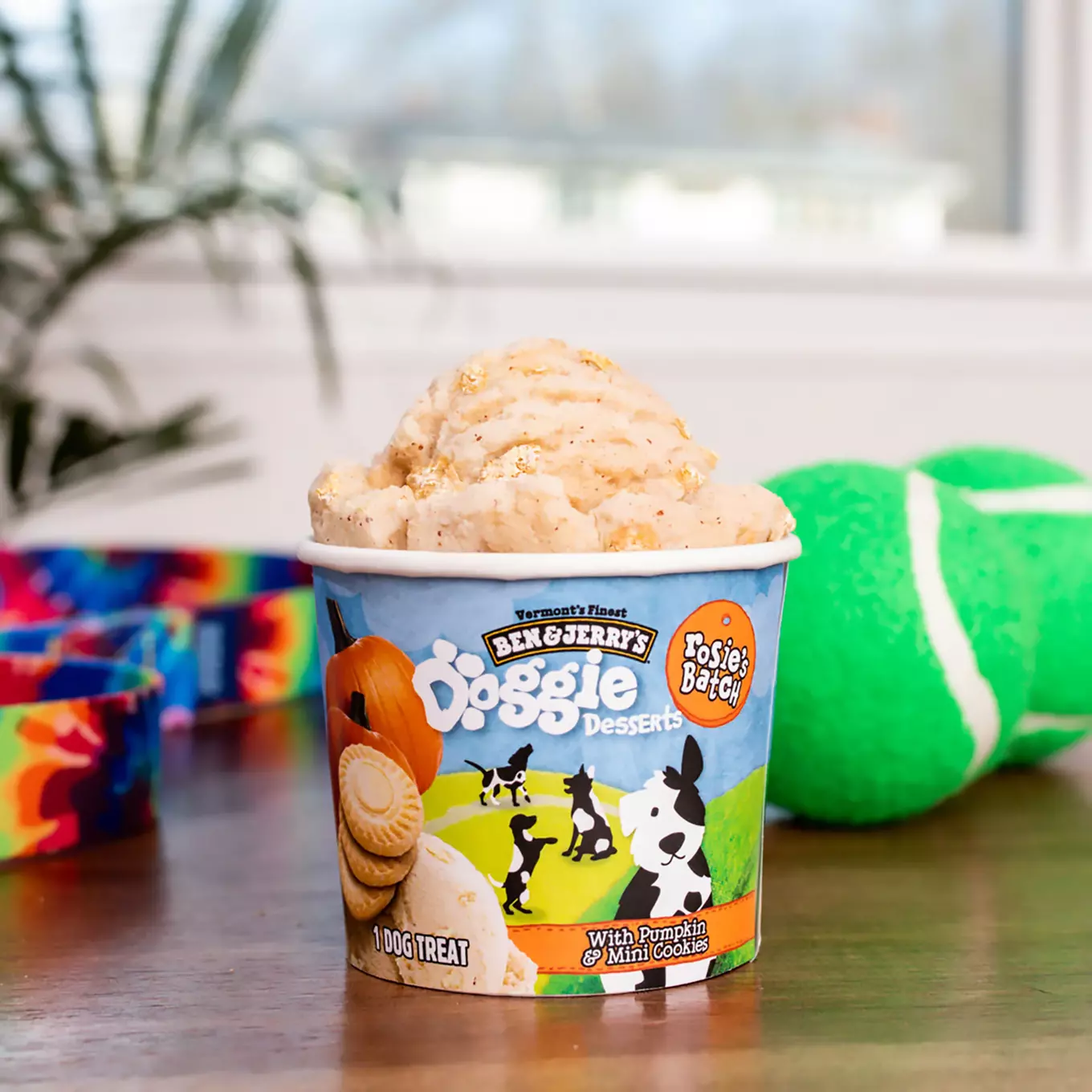 Ben and Jerrys Doggie Desserts