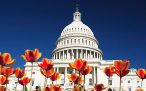 Capitol Hill Hosts Inaugural Veggie Burger Contest