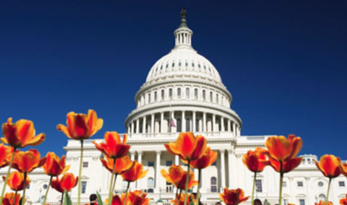 VegNews.CapitolHill.VND