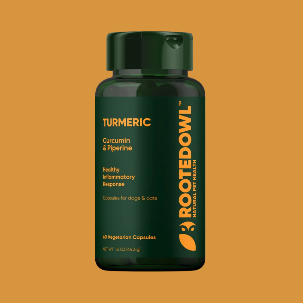 Rooted Owl Turmeric Capsules for Dogs and Cats