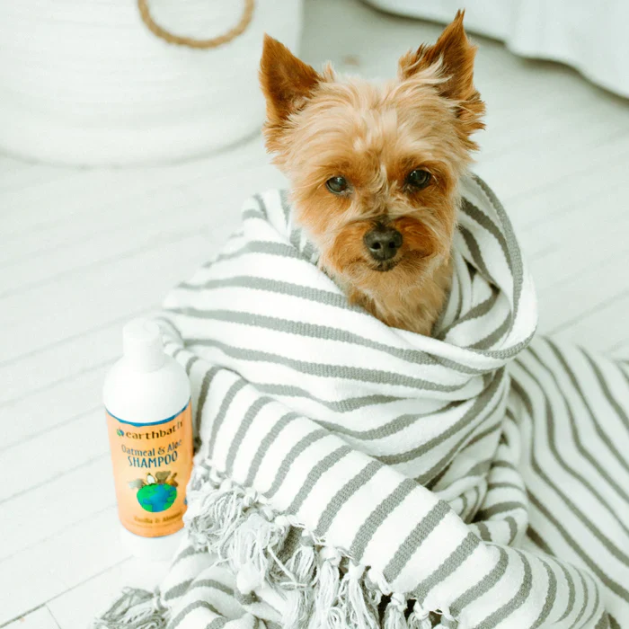 Earthbath Oatmeal & Aloe, Vanilla & Almond Pet Shampoo