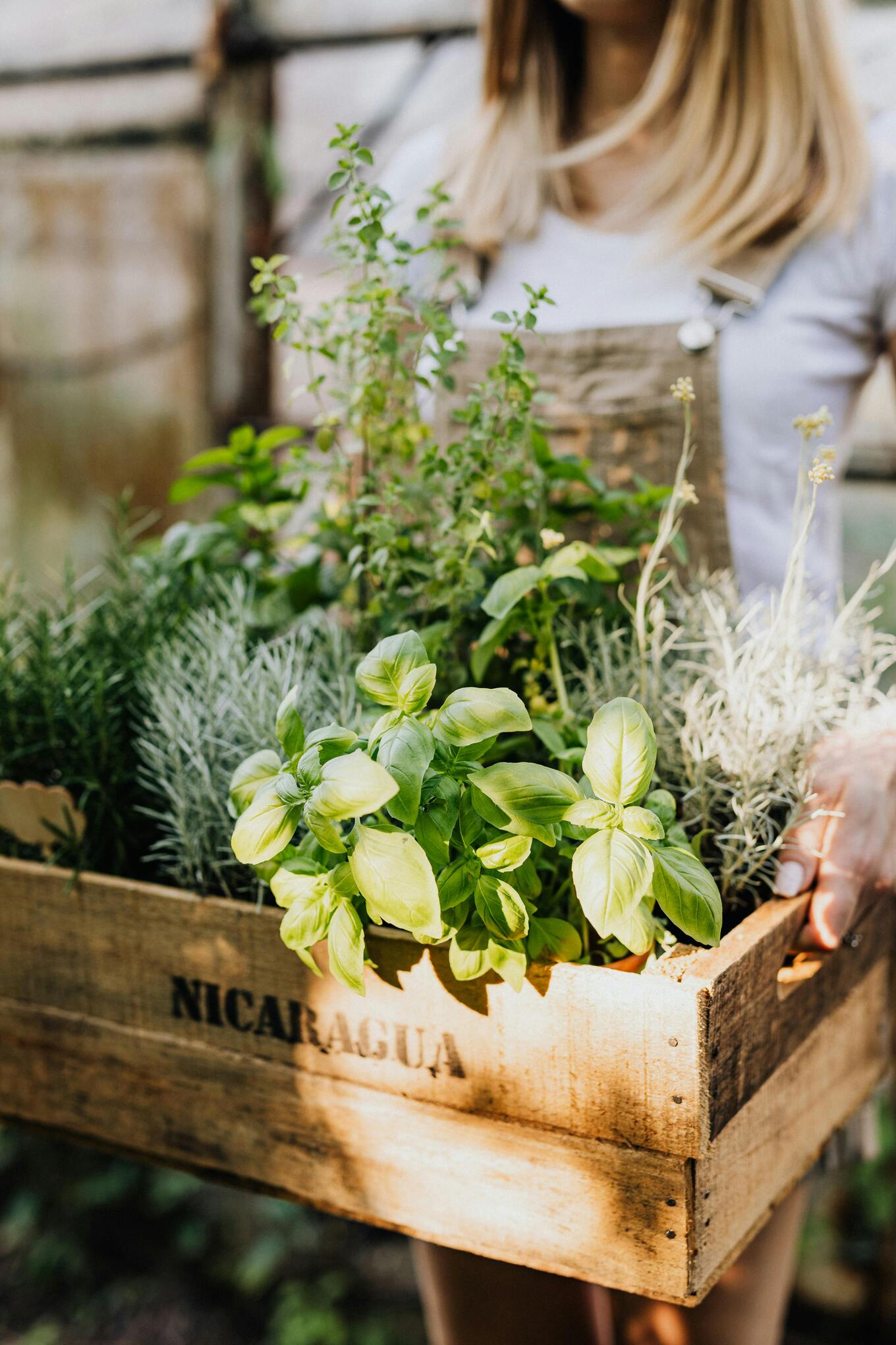 VegNews.Pexels-karola-g-4750371