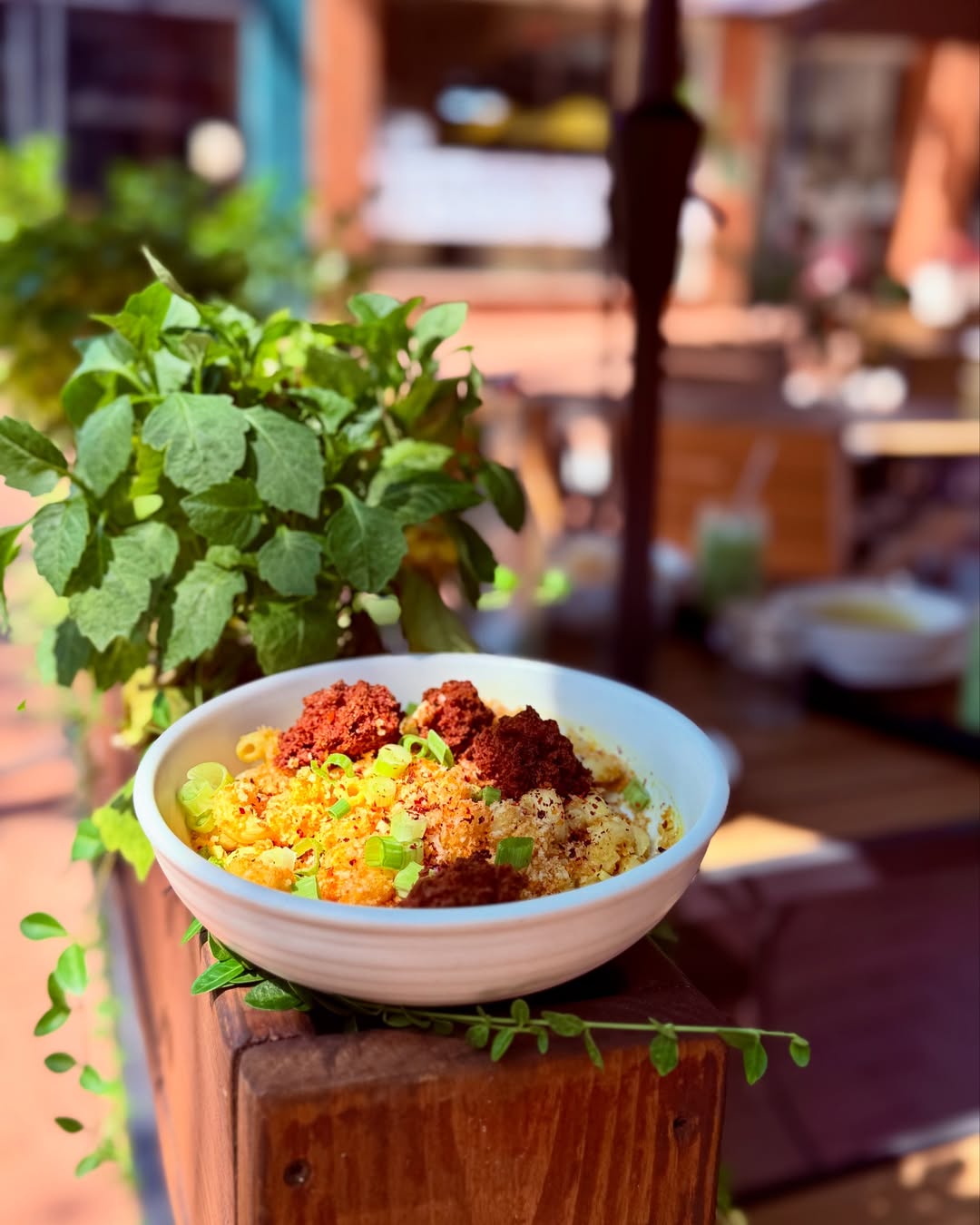 Botanical Plant-Based Fare