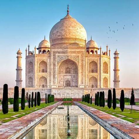 Doctors Group Recommends Vegan Diet in India