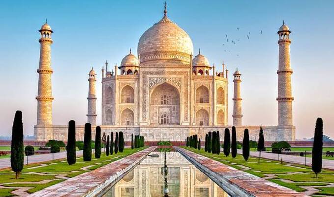 VegNews.TajMahal.VND