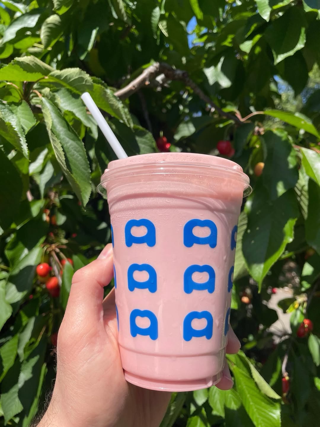 Face Plant Shake