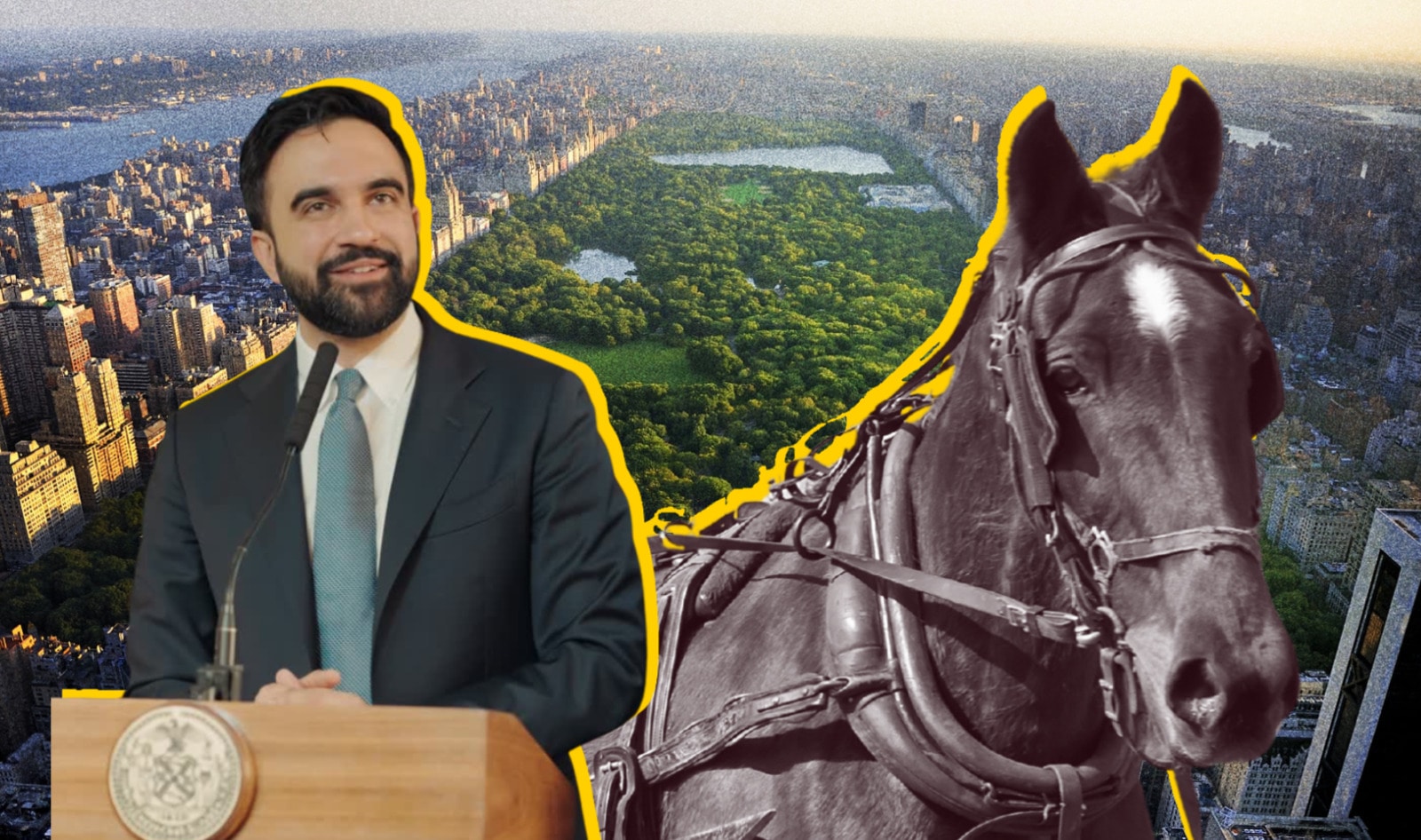 A Central Park Horse Just Collapsed and Died. Mayor Mamdani Says It’s Time for a Ban.