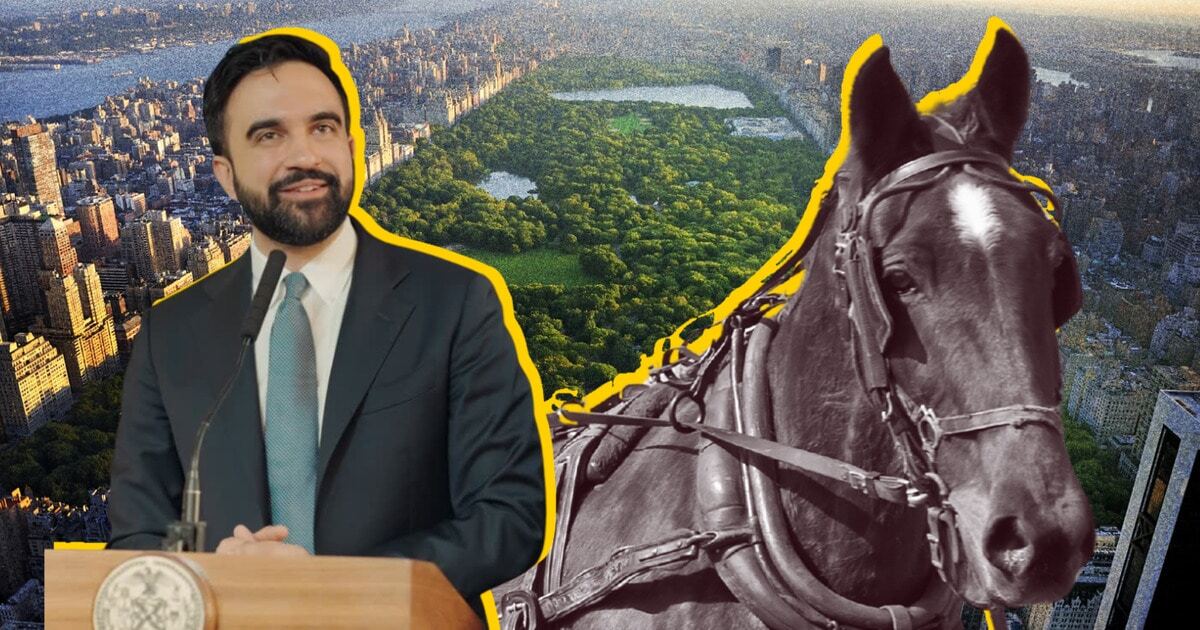 A Central Park Horse Just Collapsed and Died. Mayor Mamdani Says It’s Time for a Ban.