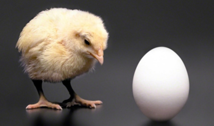 VegNews.ChickenEgg