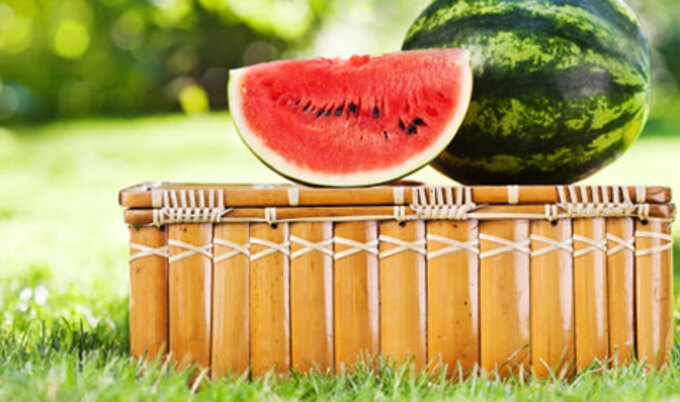 VegNews.Picnic