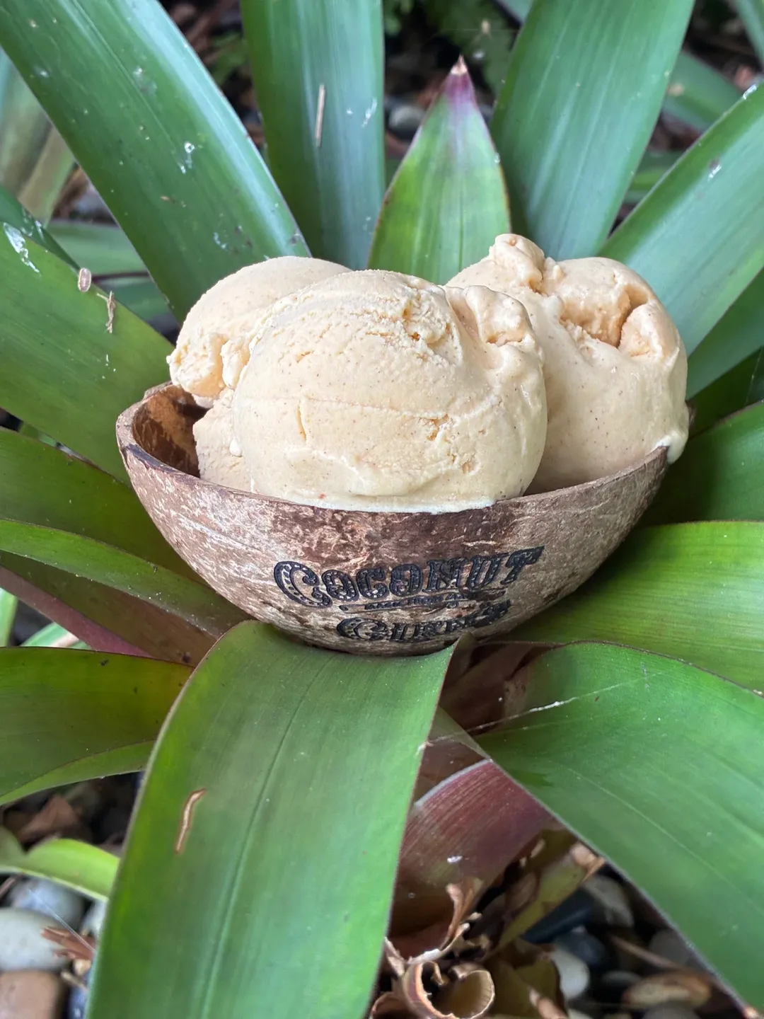 Coconut Glen's