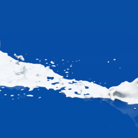 European Union Dairy Industry in Crisis