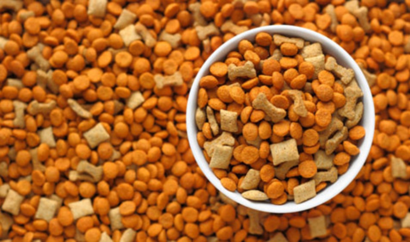 Two Major Pet Food Companies Recall Products
