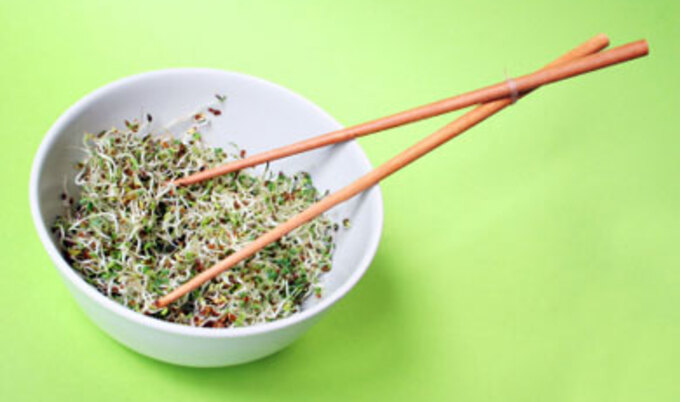 Featurette.Macrobiotics