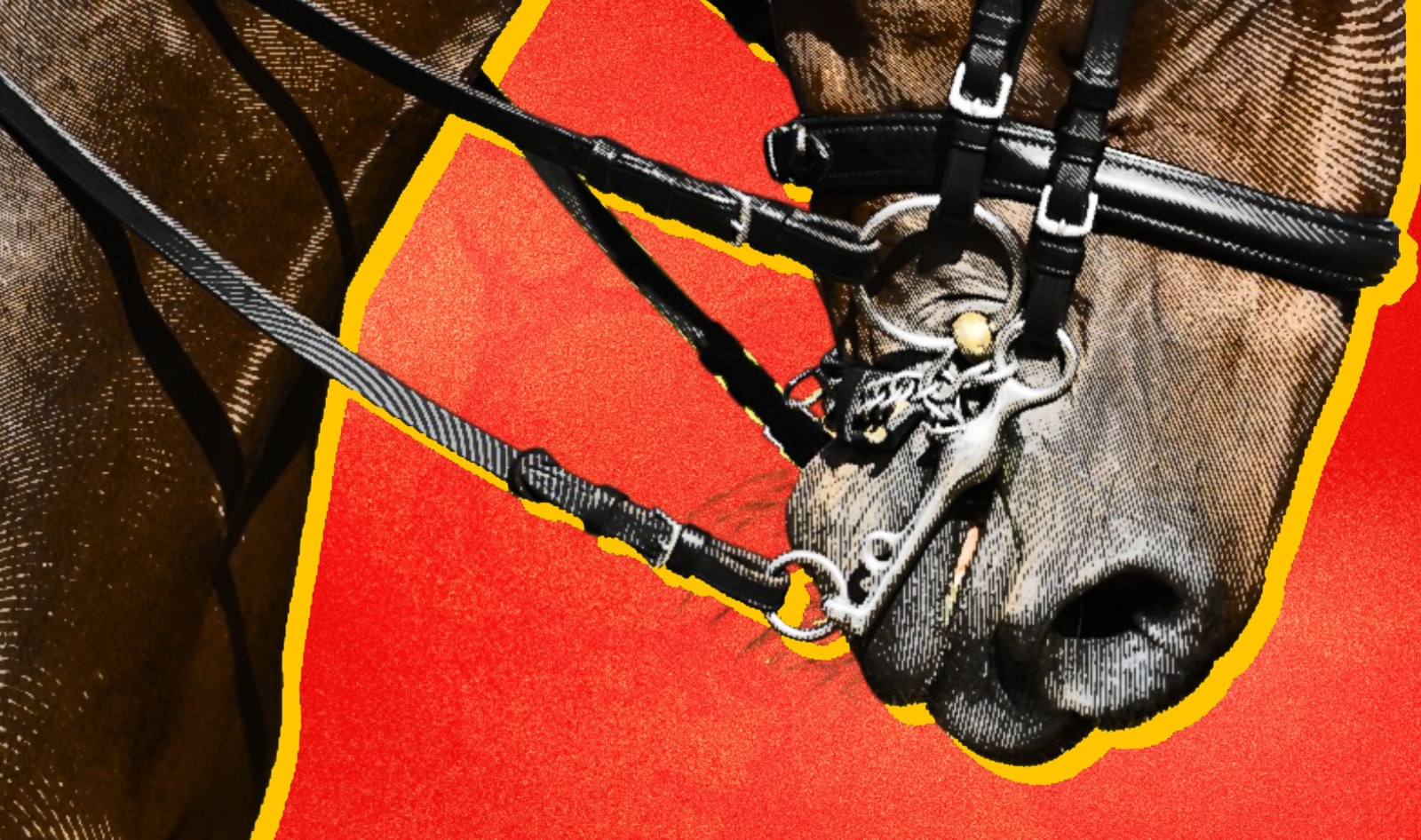 One Tragedy May Have Changed the Future of Horse Carriages in New York Forever.