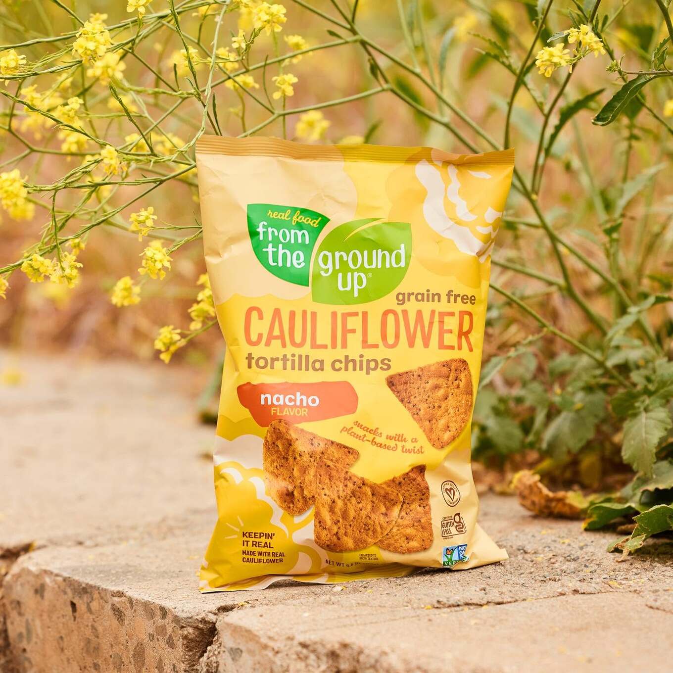 Real Food From the Ground Up nacho tortilla chips