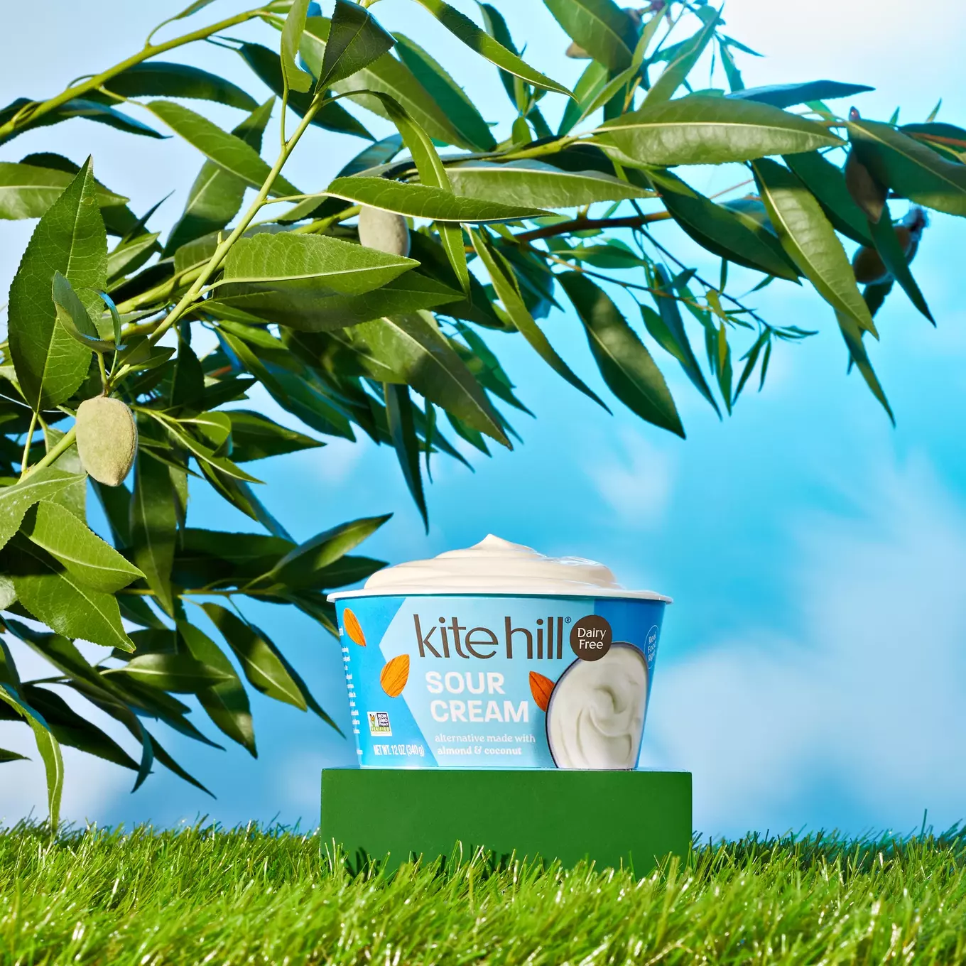 Kite Hill sour cream