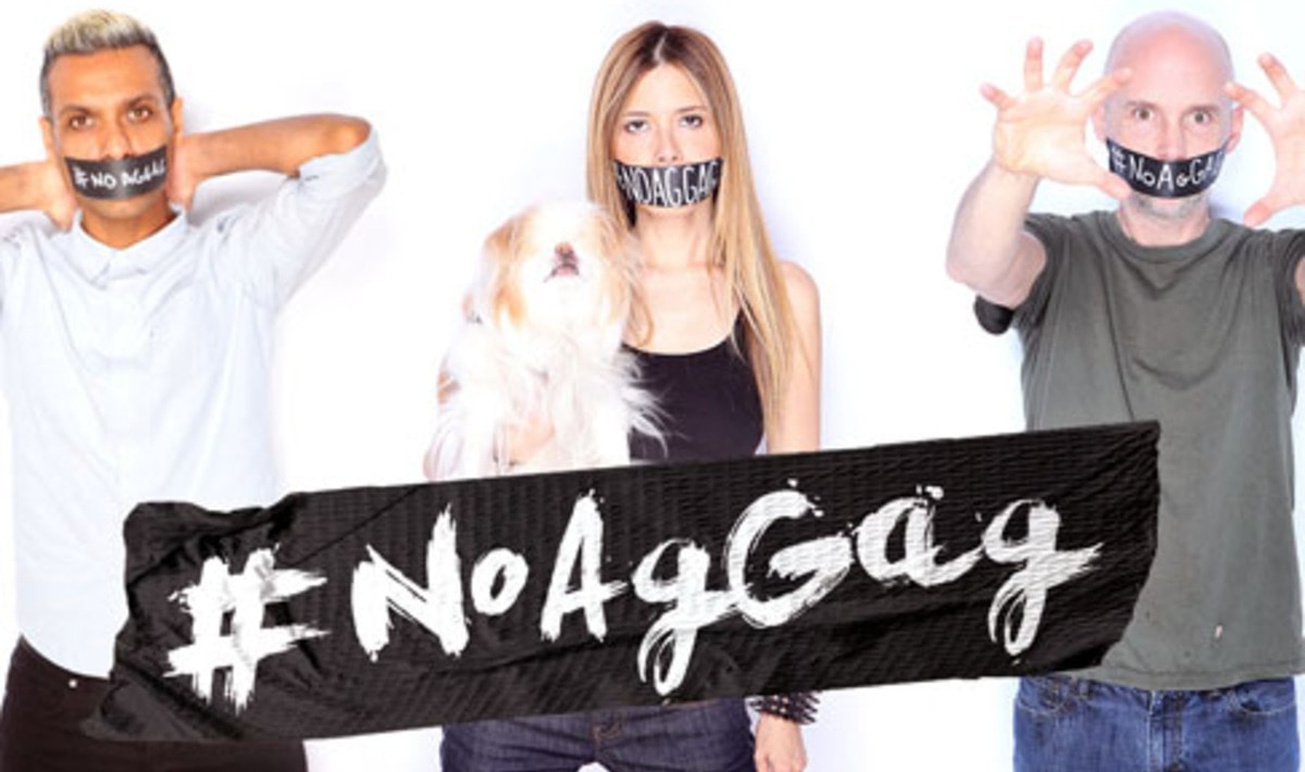 5 Quotes from the Man Who Helped Overturn Idaho’s Ag-Gag Law | VegNews