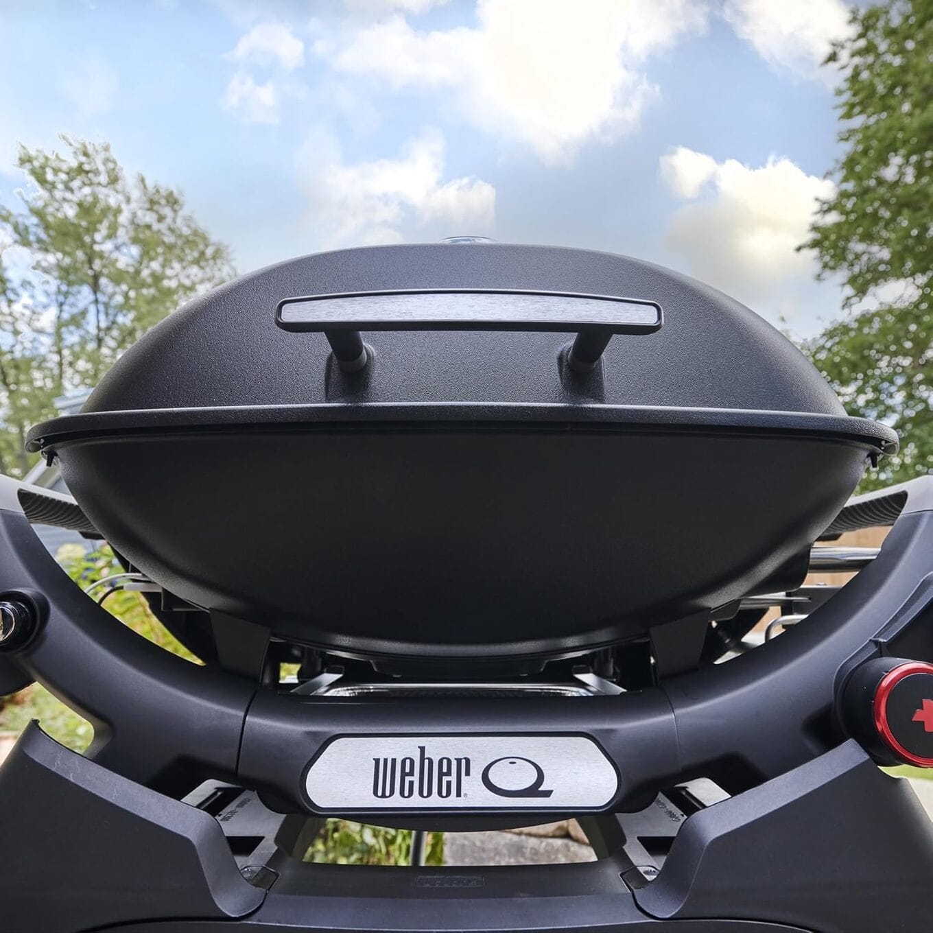 Weber Q2800 Portable Gas Grill