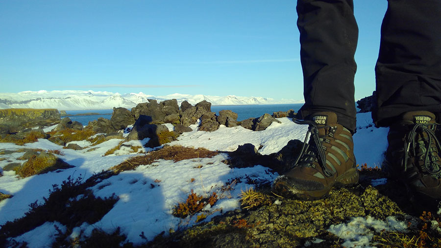 leather-free hiking shoes