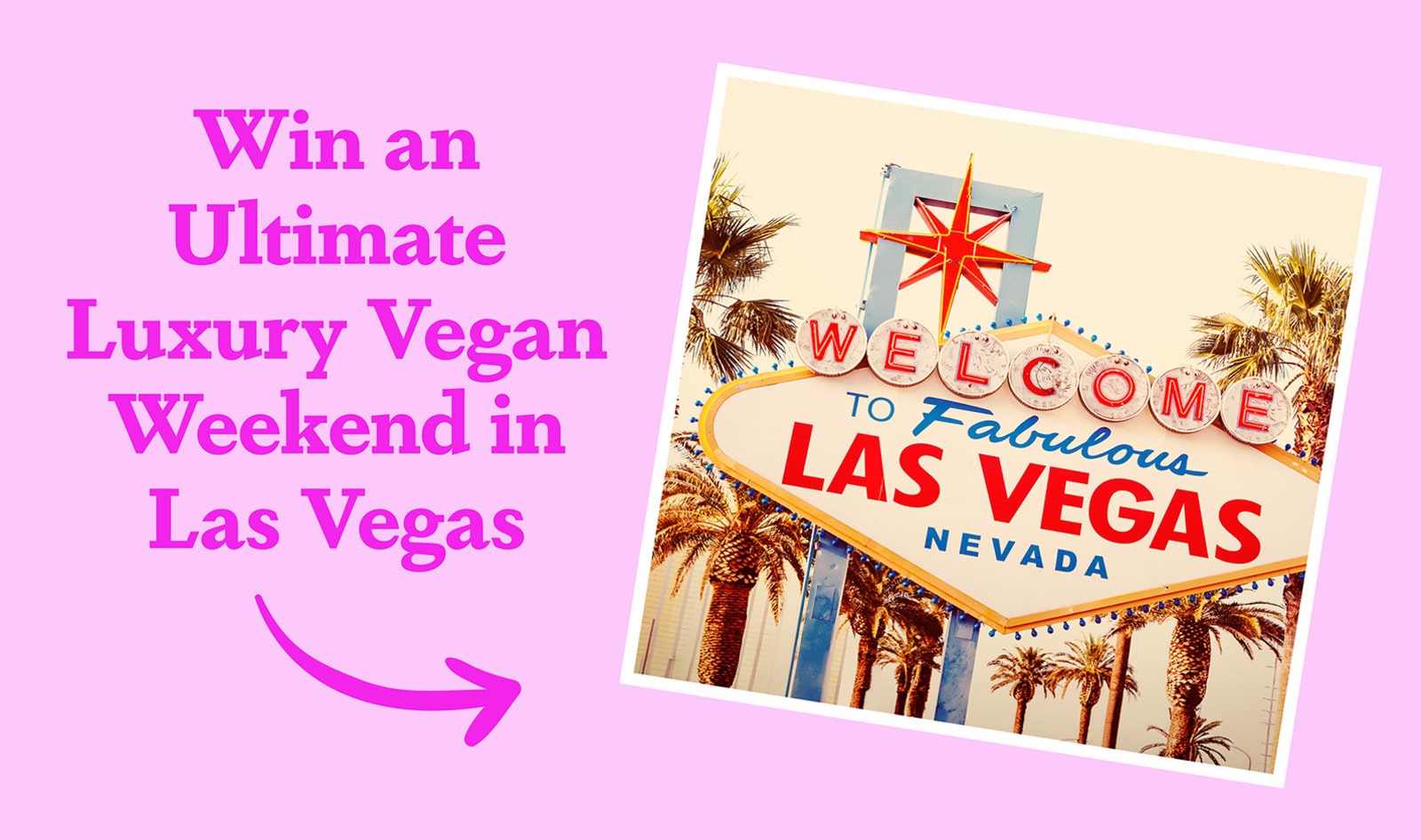 EXCLUSIVE: Win a $5,000 Luxury VIP Vegan Weekend in Las Vegas