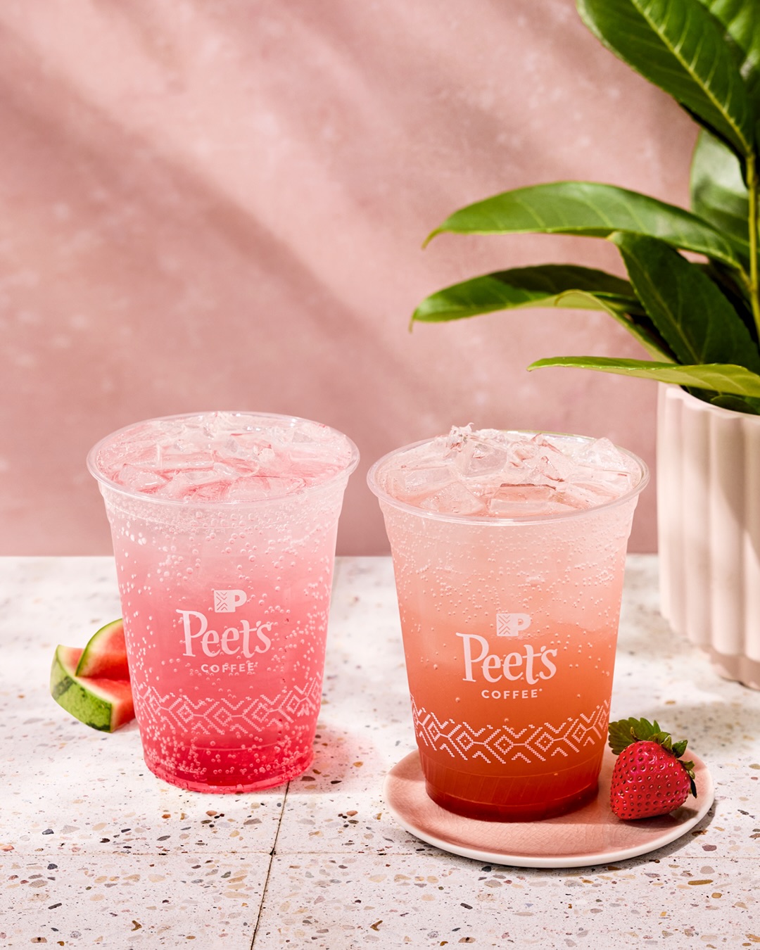 VegNews.Peet's.Summer2026.1
