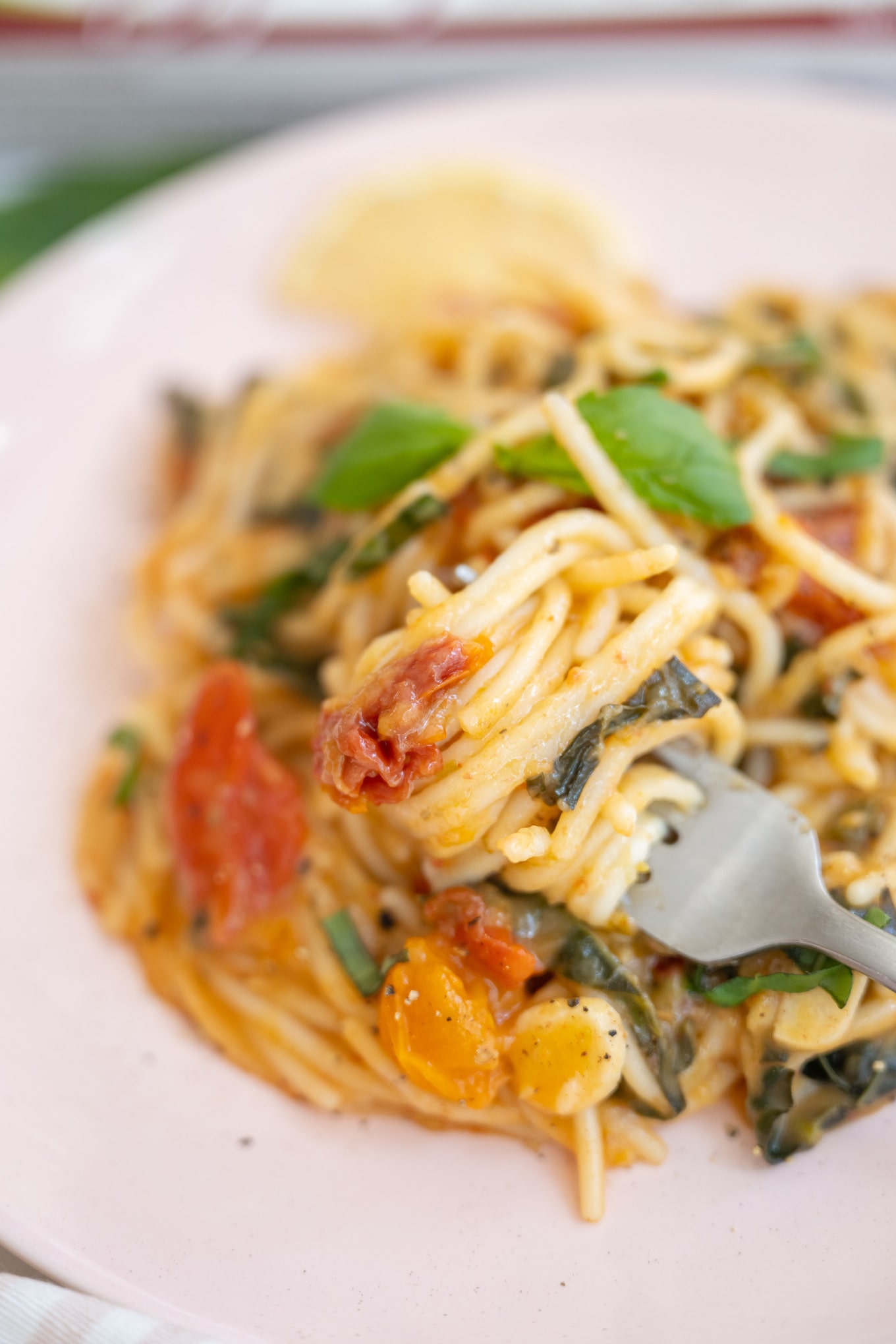 VegNews-NowFoods-OnePotSpaghetti-12