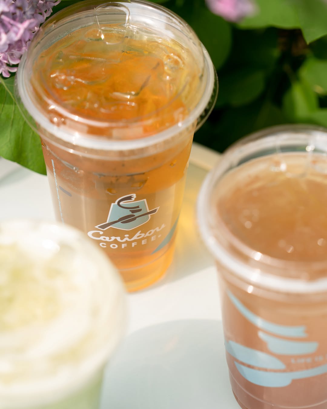 Caribou iced tea
