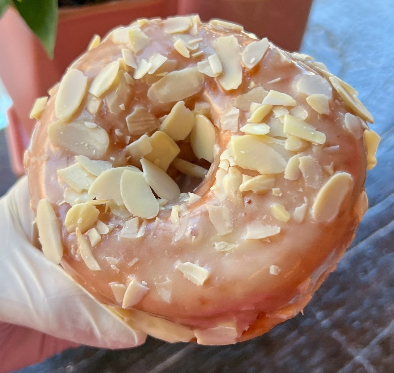 Dun-Well Doughnuts&rsquo; Almondine