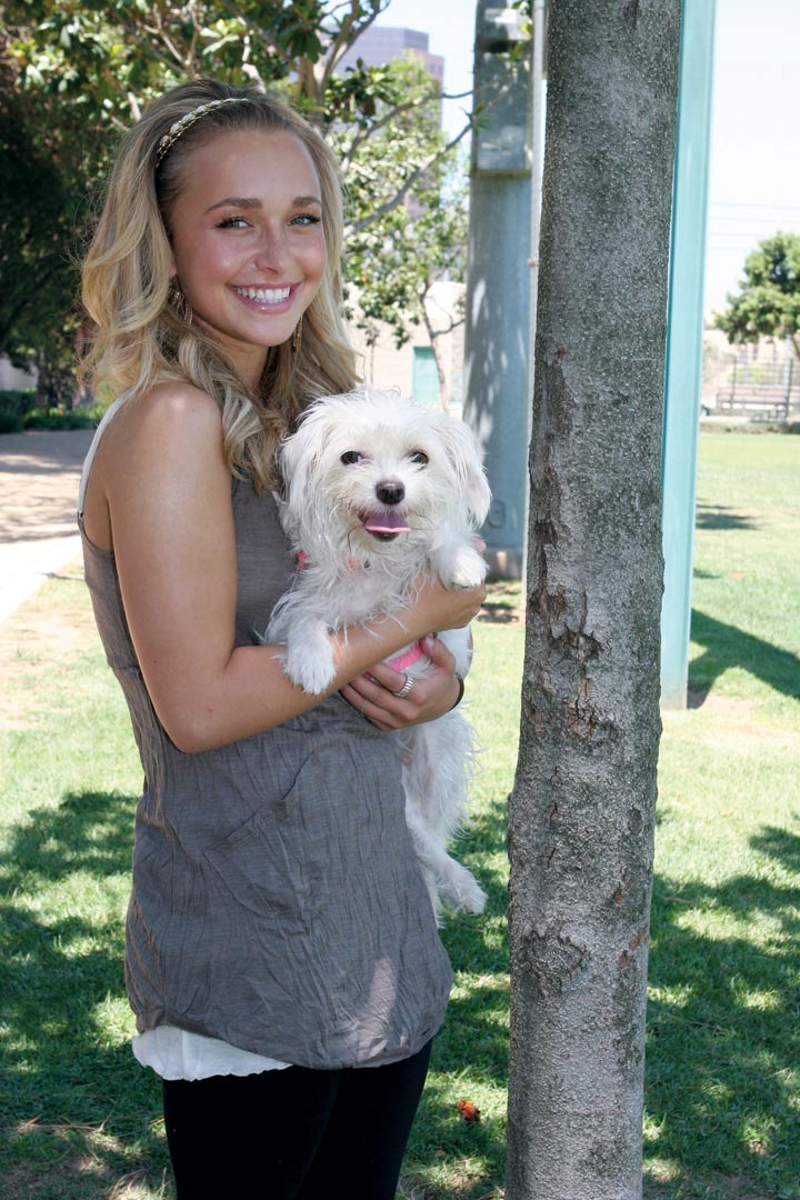 hayden2