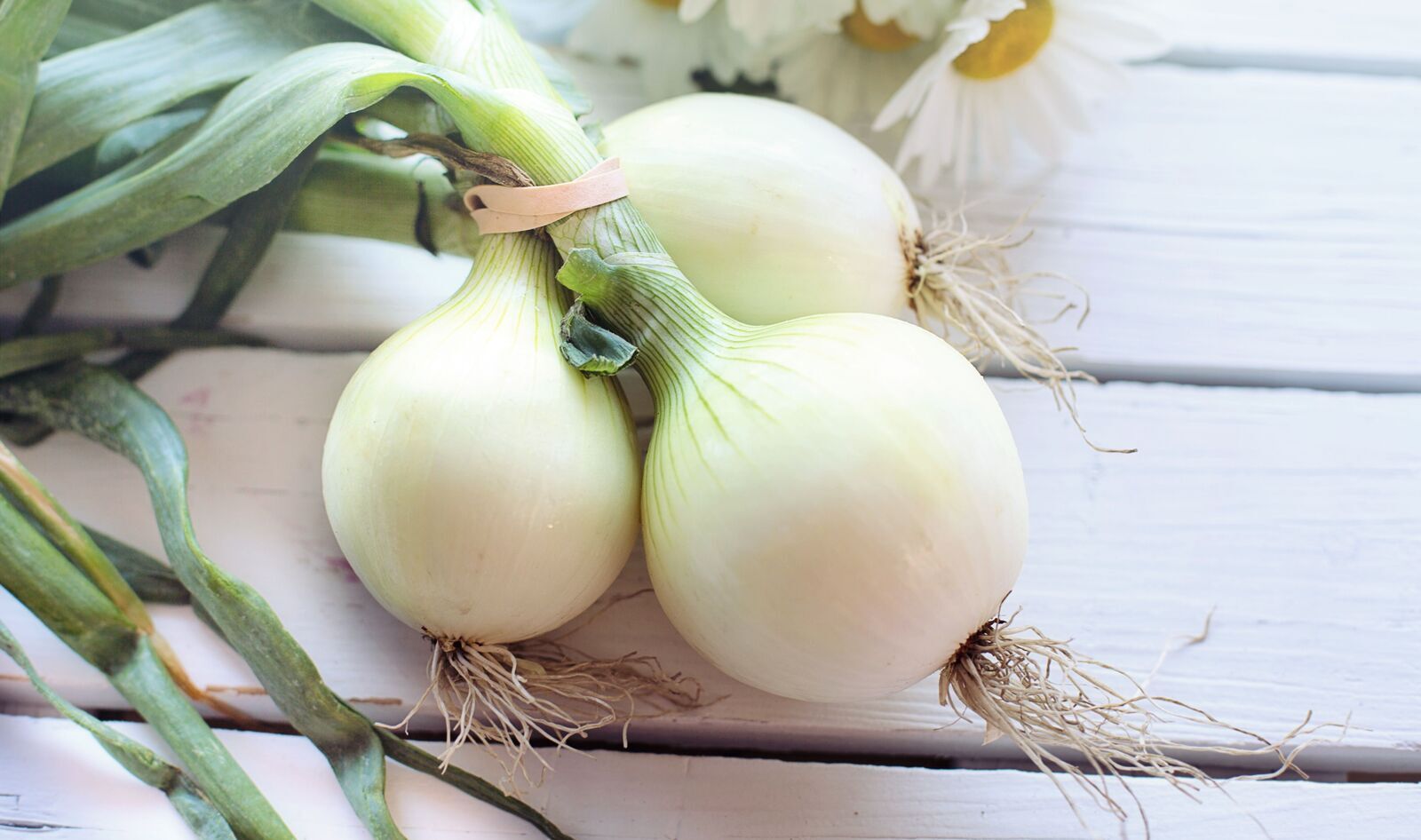 These 5 Vegetables Are the Best Sources of Prebiotics, Study Finds