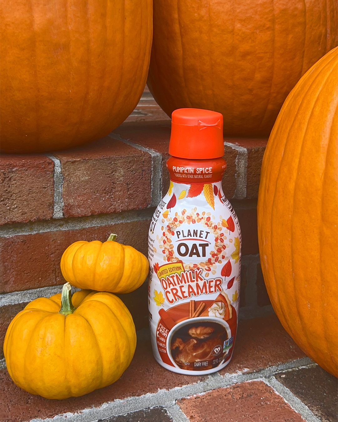 Planet Oat Pumpkin Spice Oatmilk Creamer