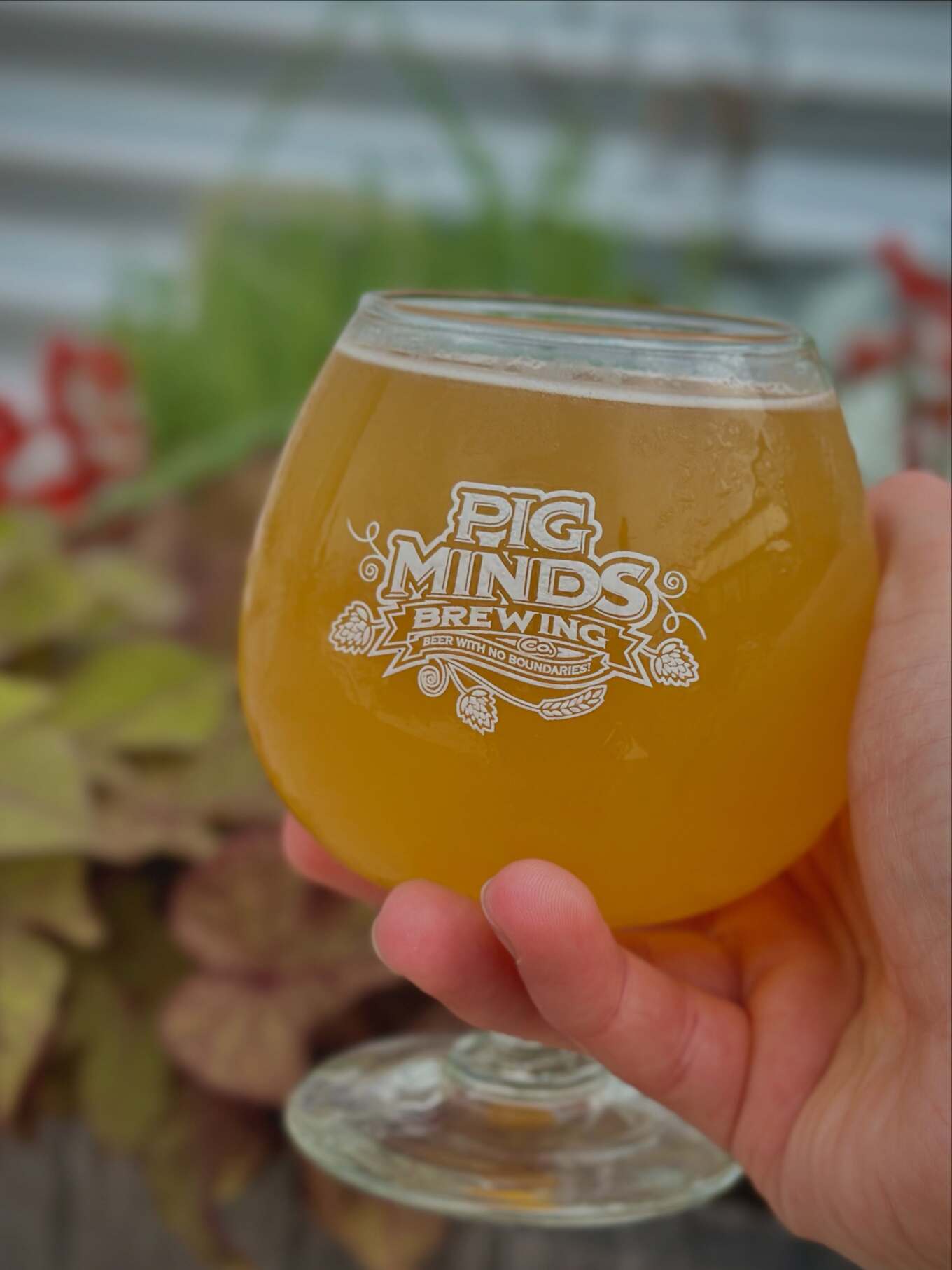 Pig Minds Brewing