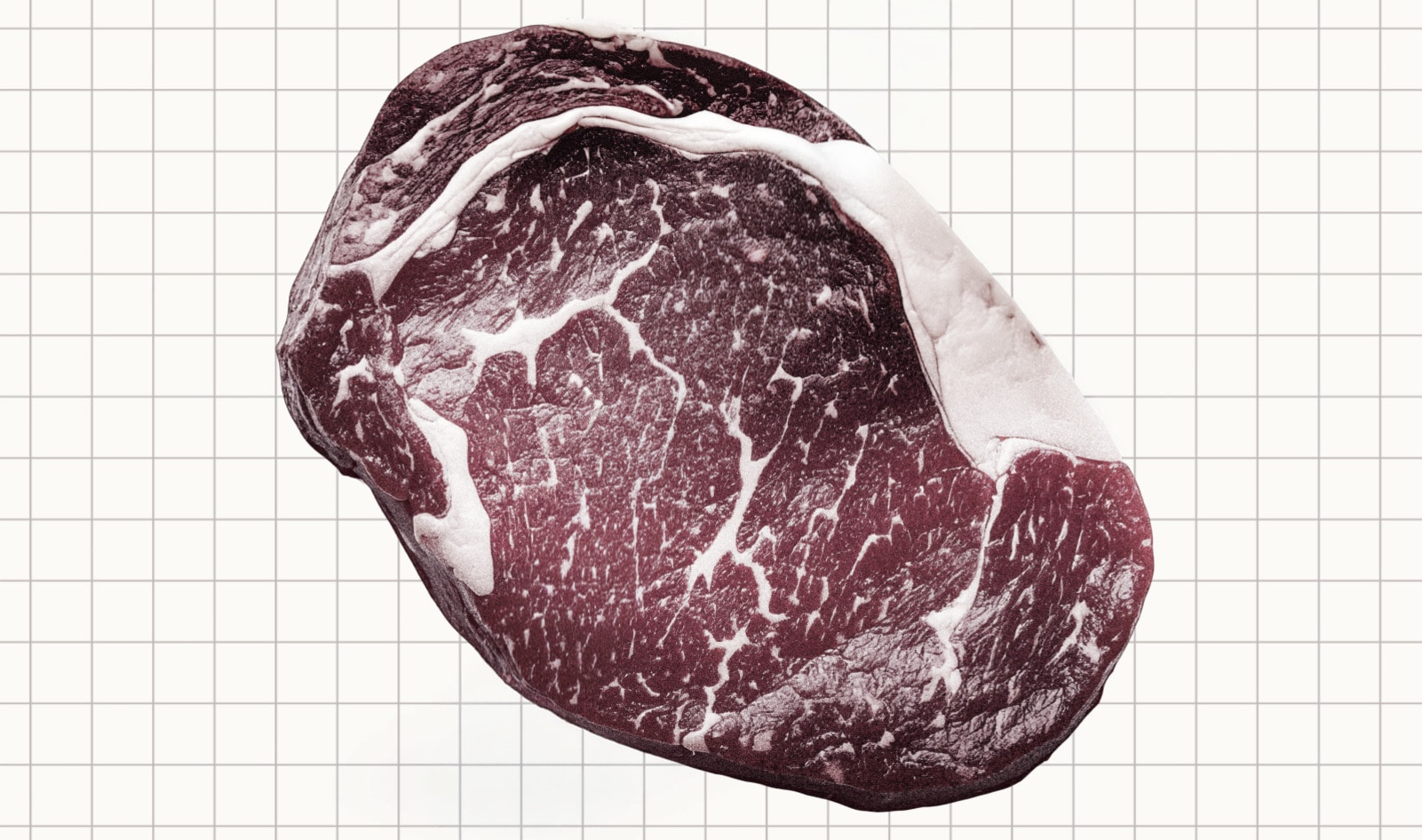 Did Big Meat Hijack America’s Dietary Guidelines? Why These Doctors Are Suing the Government.