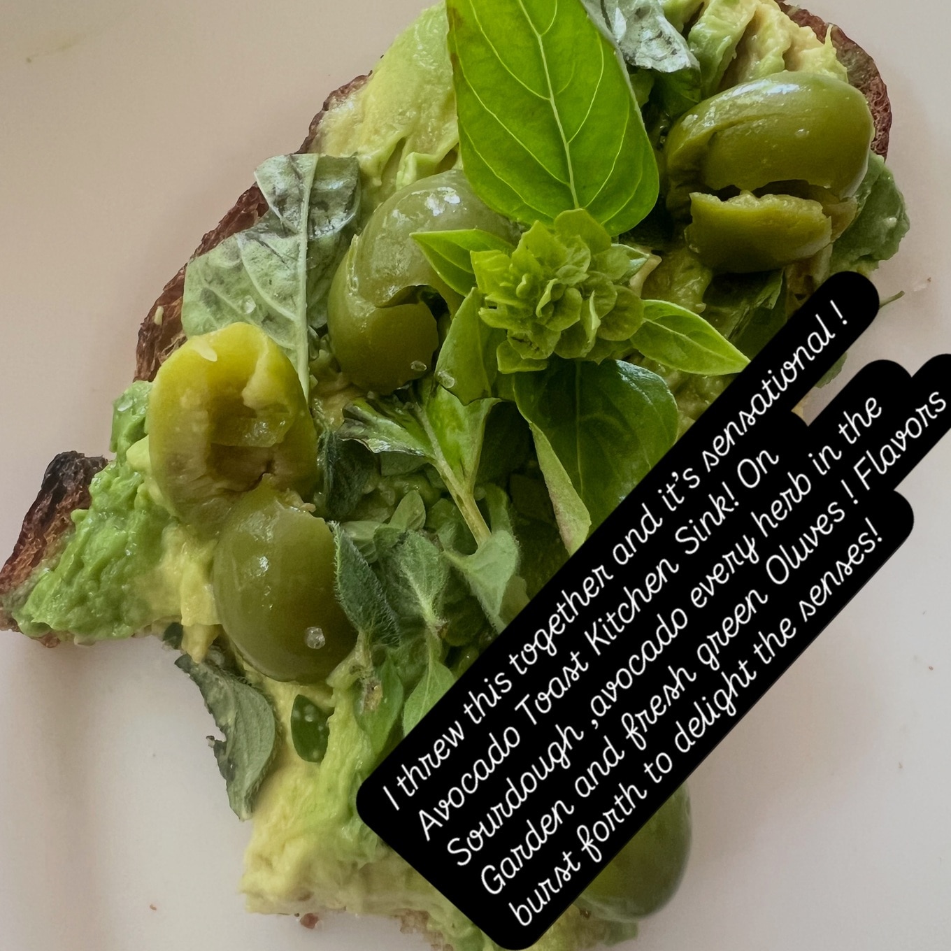 christie brinkley avo toast