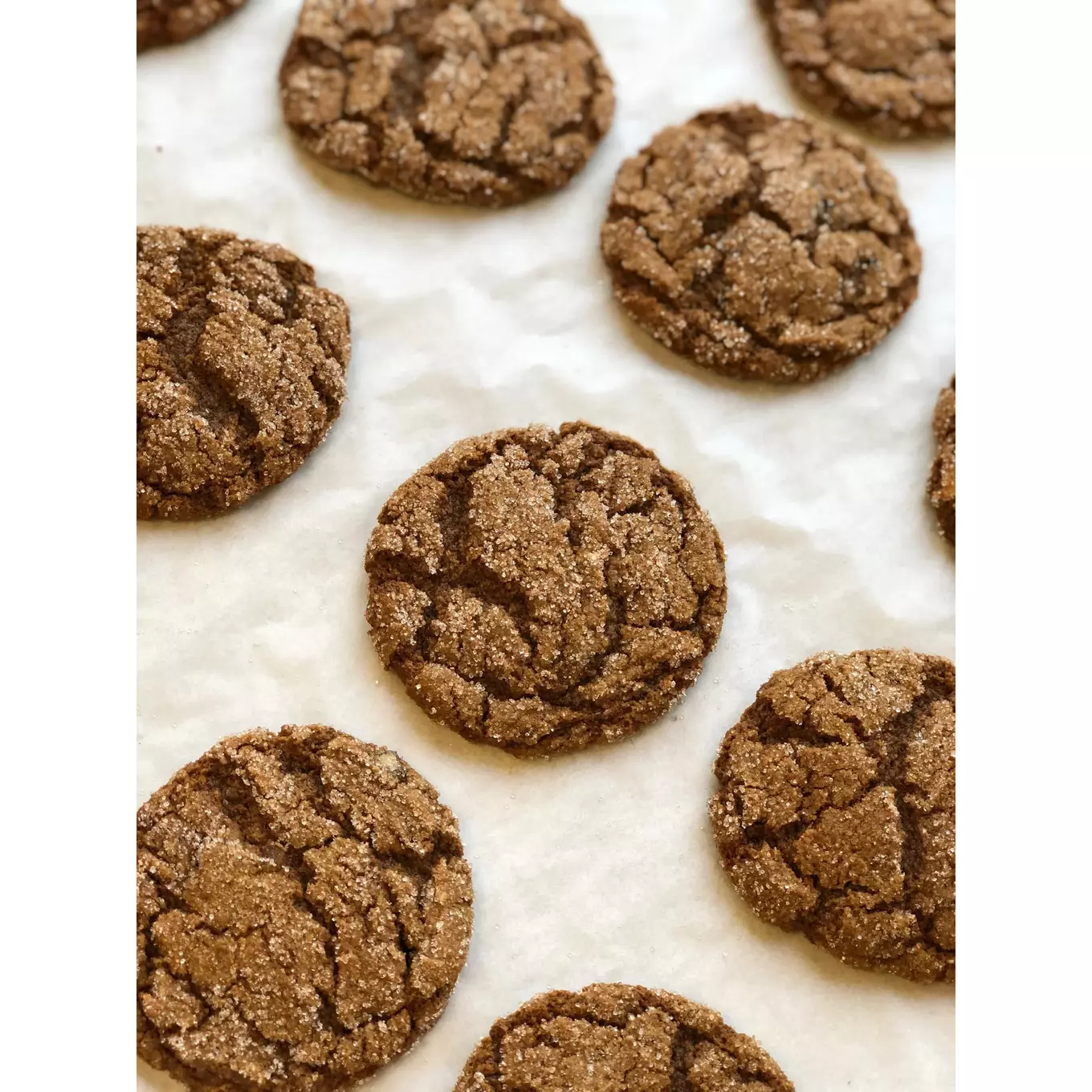 VegNews.Yvonnes.GingerDateCookies