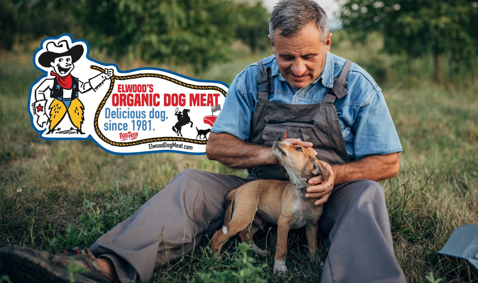 This Family Farm Raises Dogs for Meat—and We’re Kind of Obsessed