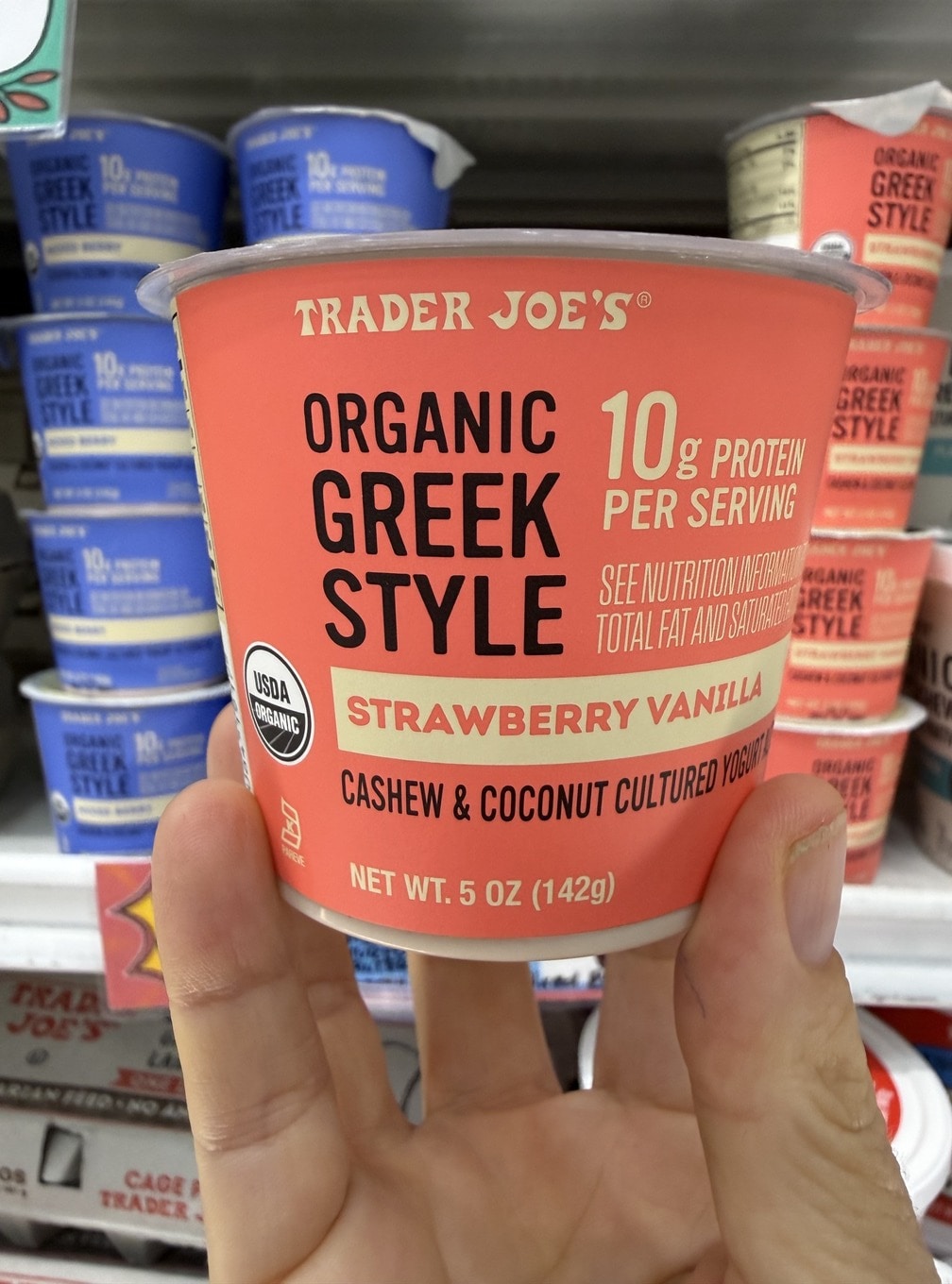Trader Joes greek yogurt