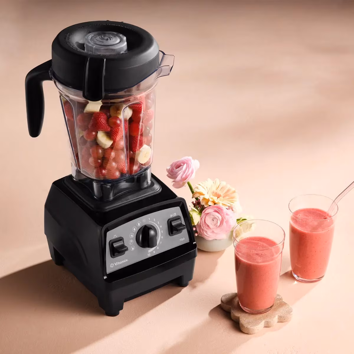 Vitamix Propel Series 750